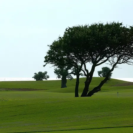 Masseria San Domenico سافيلّيتري
