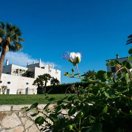 Masseria San Domenico 5* سافيلّيتري